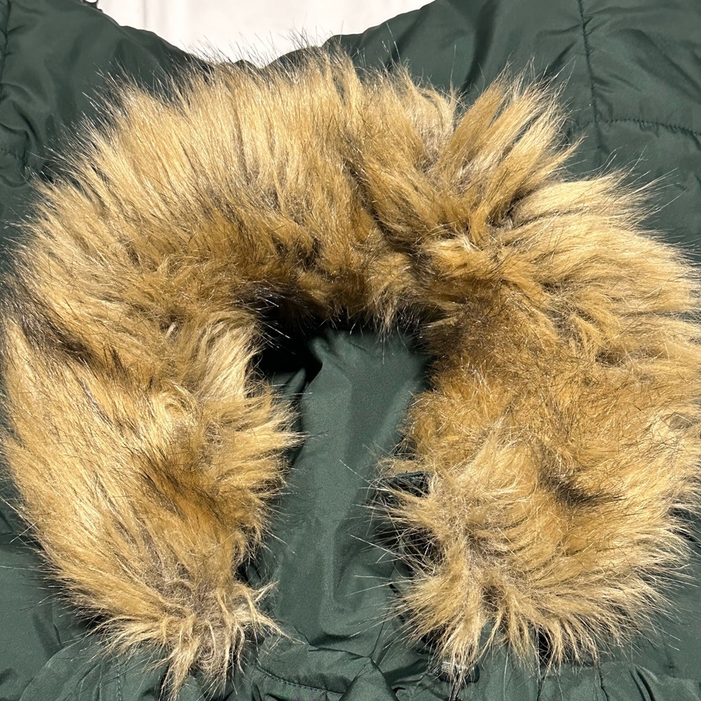 The Northface winter coat